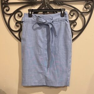 Banana Republic Light Blue Women's Skirt size 2